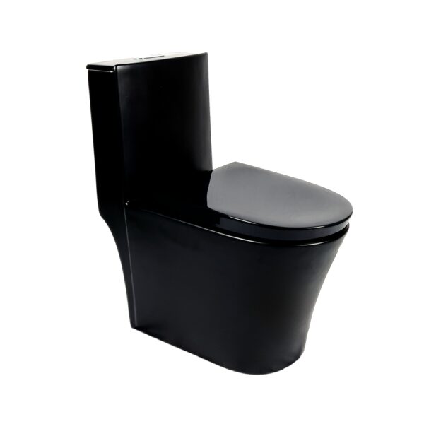 Vaso Sanitário Monobloco Preto Lisboa
